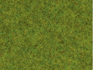 Streugras Frühlingswiese 2,5 mm, 100 g